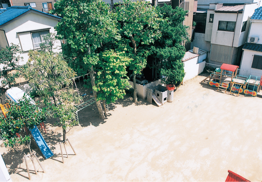 植樹した木々が大きく育った園庭